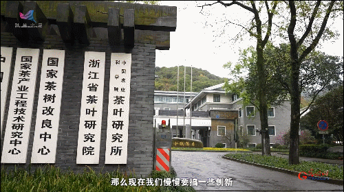 如何真正做有价值的科研？听“茶叶院士”陈宗懋的答案