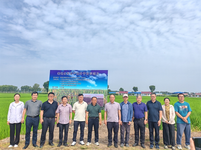 9dd7af06-d804-43c2-978b-22225d767cfb.jpg