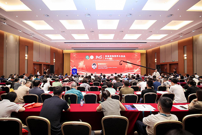 374717_9cd4644c-71cc-43c7-9b22-0b54b37ef9a2copy.JPG