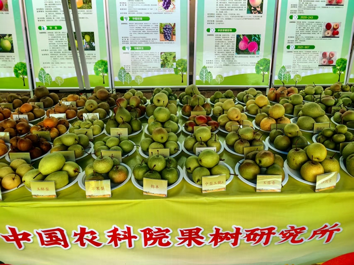 20b904eb-96f9-4762-8cf2-657b98812bdf - 副本.jpg