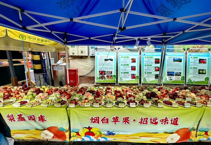 b6eafb78-29d9-4ae0-9396-f882b24112e0 - 副本.jpg