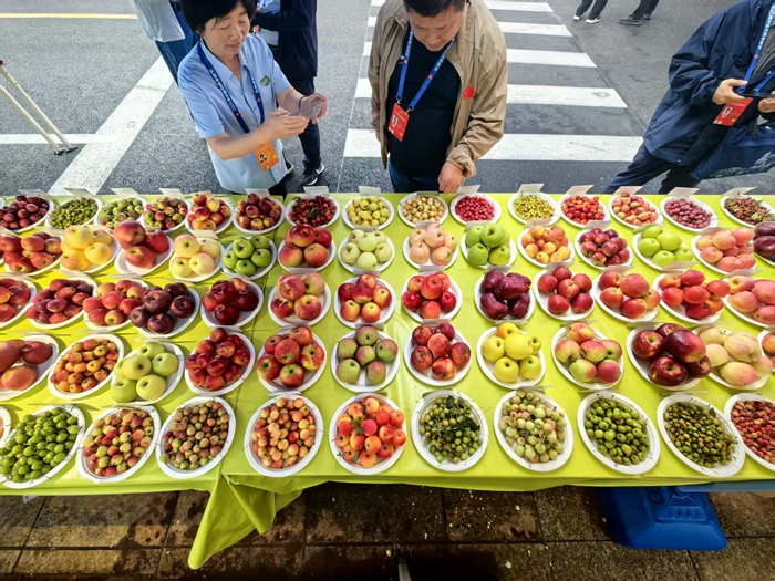 bd666730-7b63-414a-9ae4-69ba696f7646 - 副本.jpg